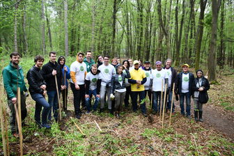 V Betnavskem gozdu posadili medovita drevesa